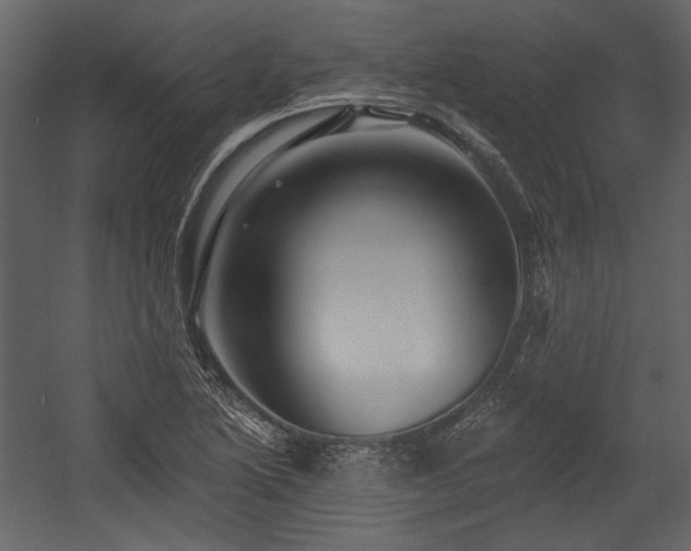 X0000054381222200508011245
