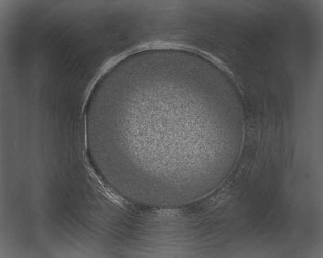 X0000054381223200508011245