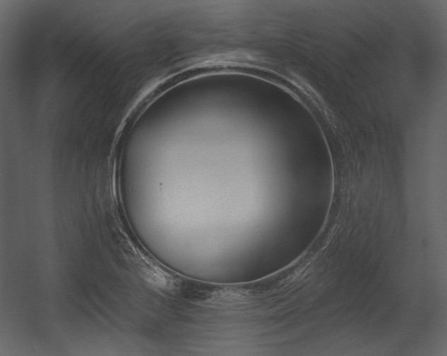 X0000054381224200508011245