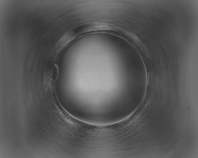 X0000054381225200508011245