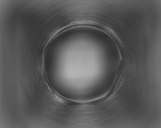 X0000054381228200508011245