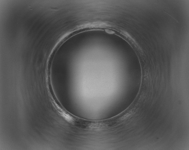 X0000054381232200508011245