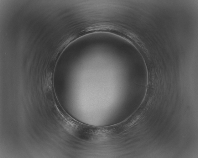 X0000054381233200508011245