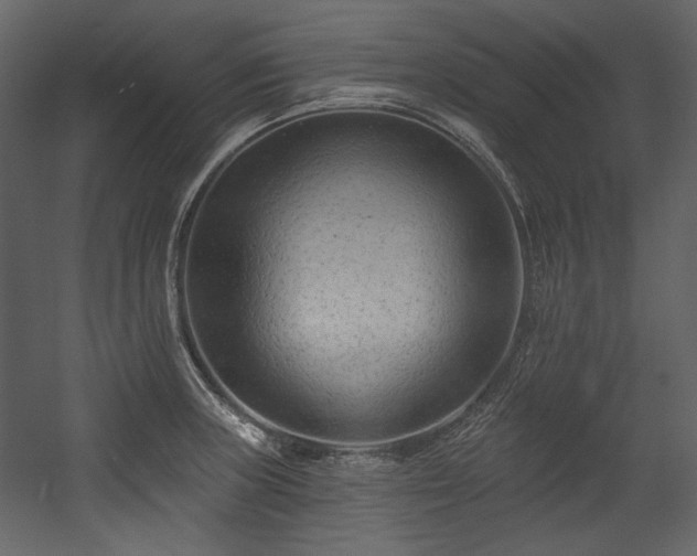 X0000054381235200508011245
