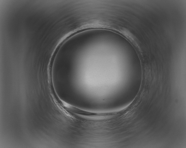 X0000054381238200508011245