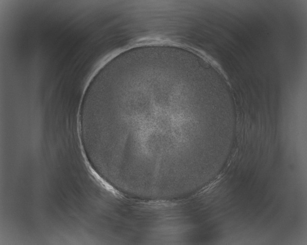 X0000054381239200508011245