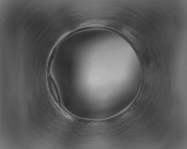 X0000054381240200508011245