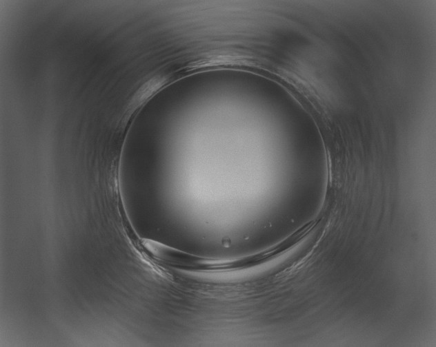 X0000054381241200508011245