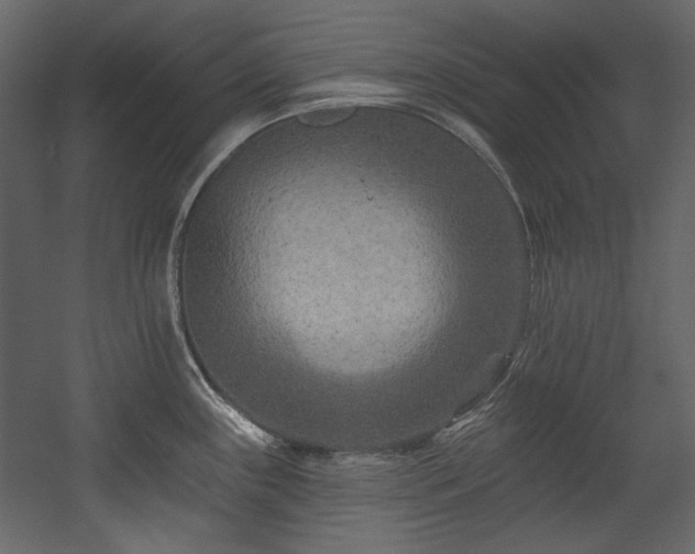 X0000054381243200508011245