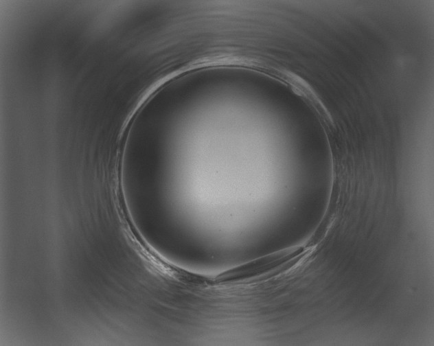X0000054381244200508011245