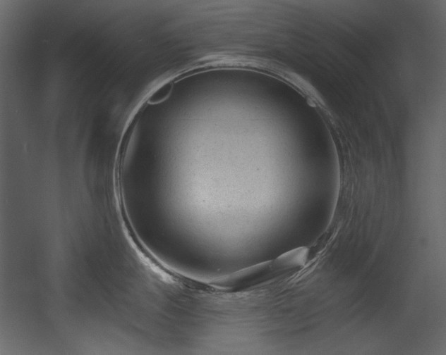 X0000054381247200508011245