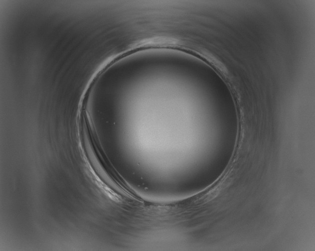 X0000054381248200508011245