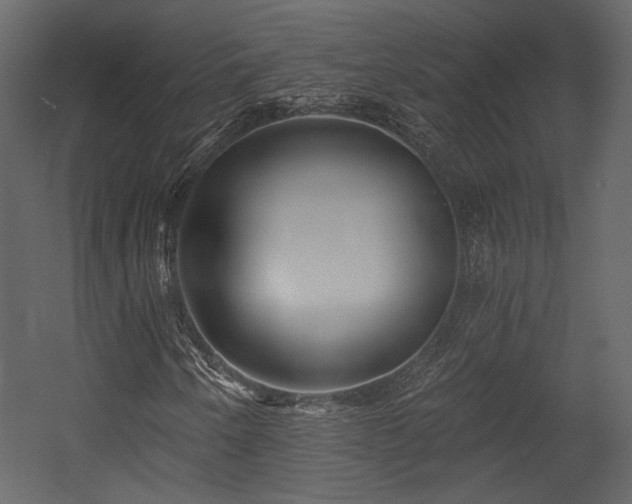 X0000054381250200508011244