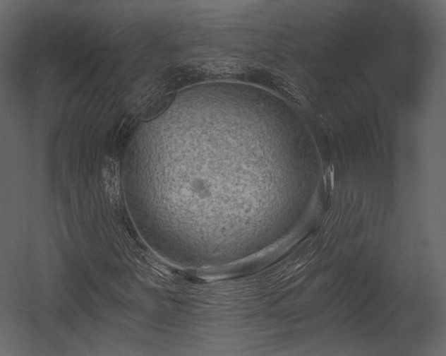 X0000054381251200508011244