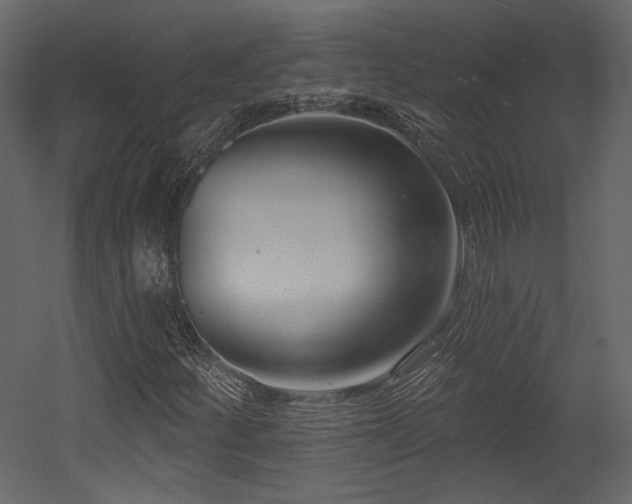 X0000054381252200508011244