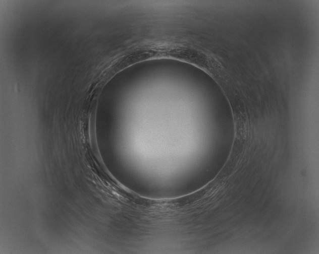 X0000054381253200508011244