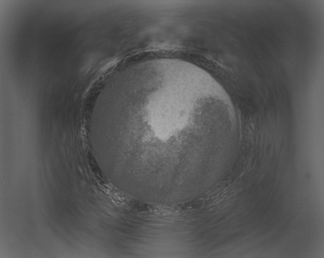 X0000054381254200508011244