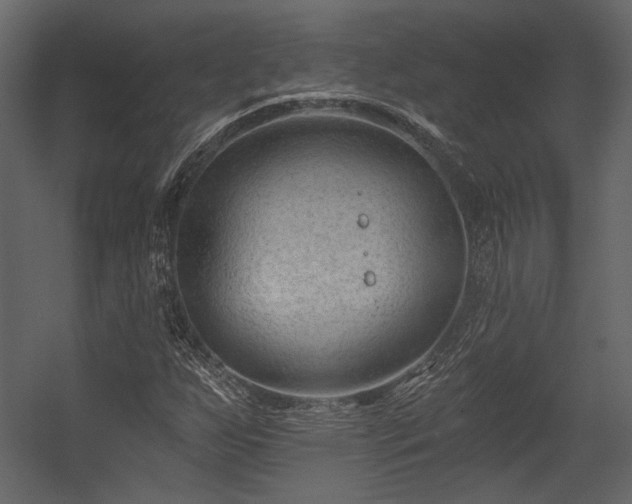 X0000054381255200508011244