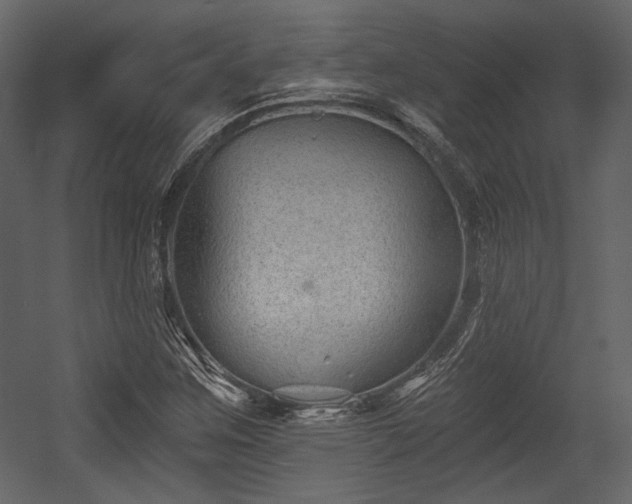 X0000054381259200508011244