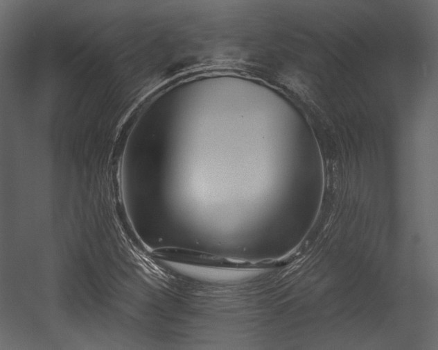 X0000054381260200508011244