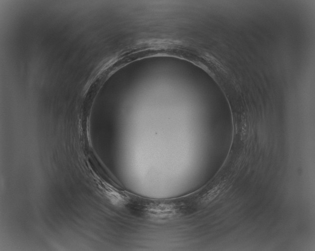 X0000054381261200508011244