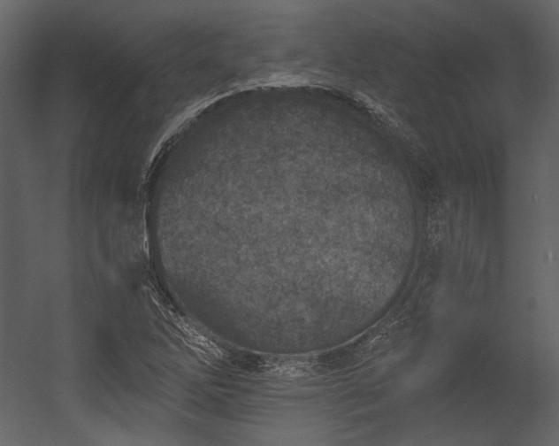X0000054381262200508011244