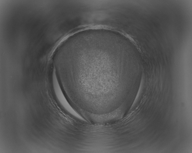 X0000054381263200508011244