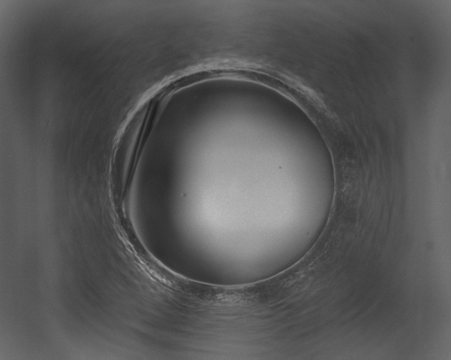 X0000054381264200508011244
