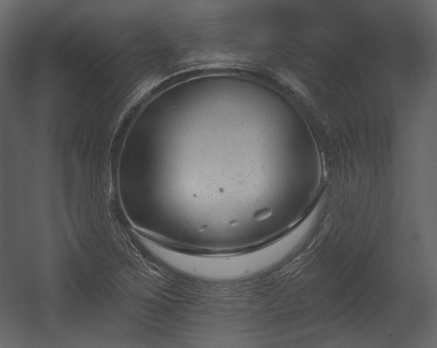 X0000054381267200508011244