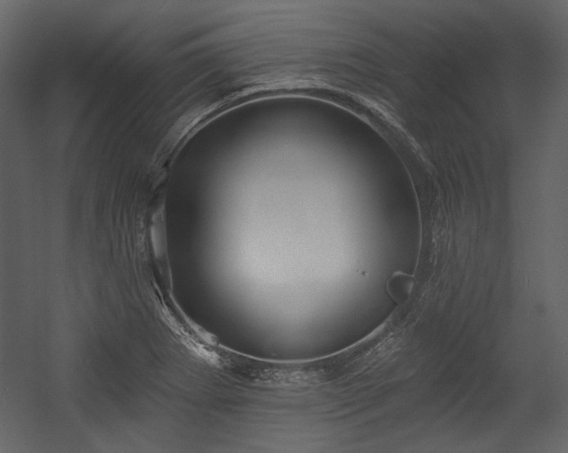 X0000054381273200508011244