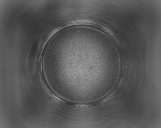 X0000054381275200508011244