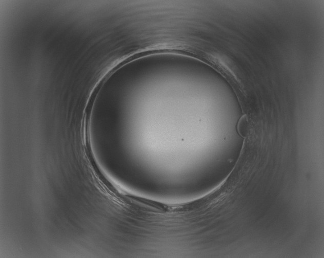 X0000054381276200508011244