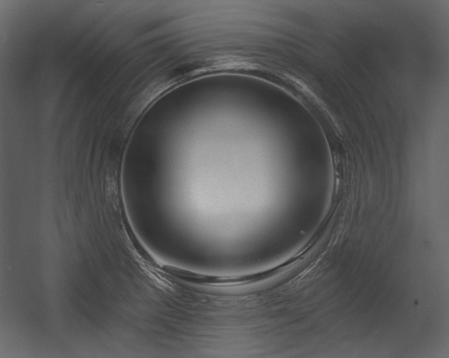 X0000054381281200508011244