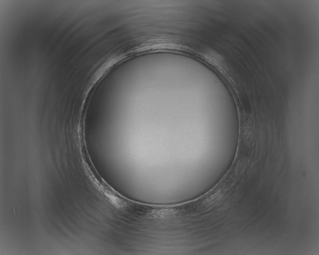 X0000054381282200508011244
