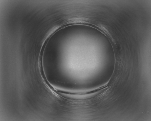 X0000054381285200508011244