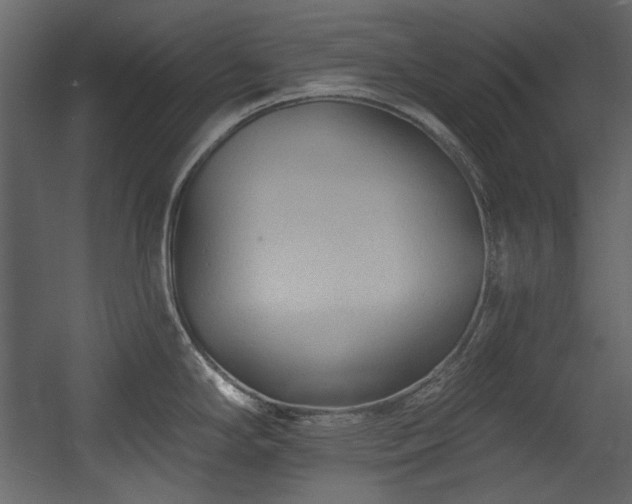 X0000054381294200508011244
