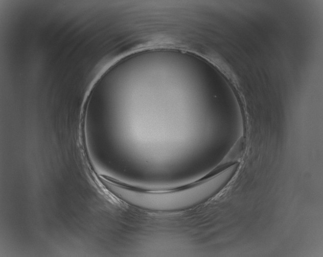 X0000054381296200508011244