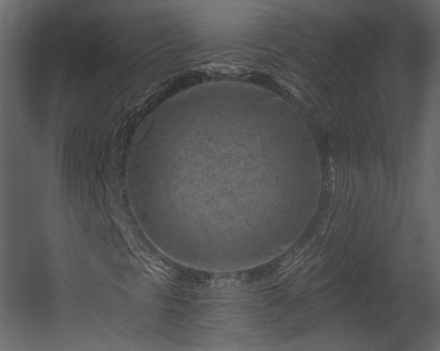X0000054381297200508011243