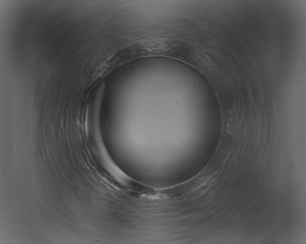 X0000054381298200508011243