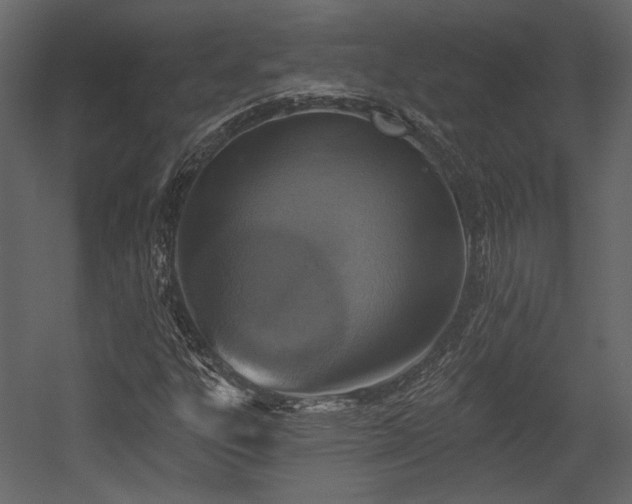 X0000054381303200508011243