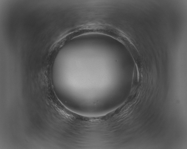 X0000054381304200508011243