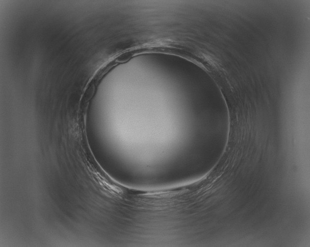 X0000054381308200508011243
