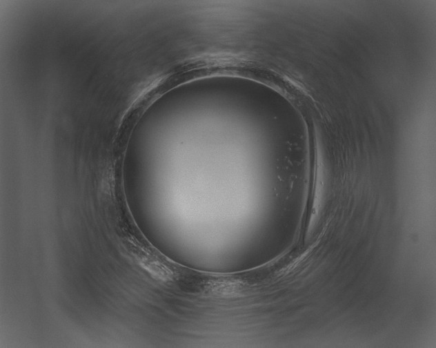 X0000054381309200508011243