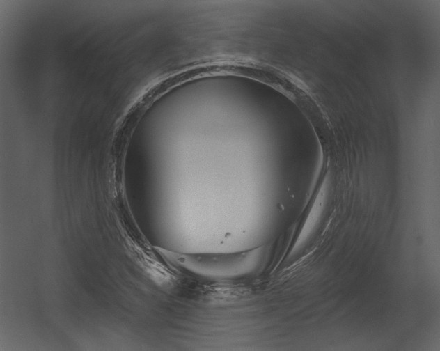 X0000054381310200508011243