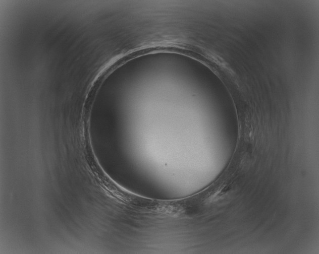 X0000054381316200508011243