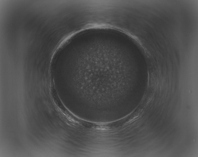 X0000054381319200508011243
