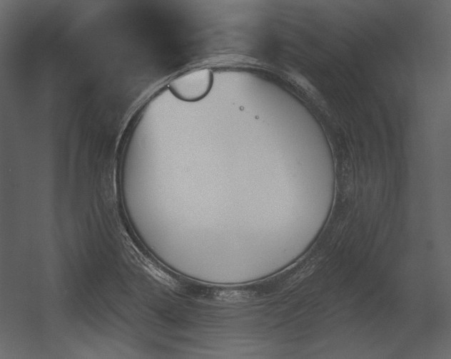 X0000054381322200508011243