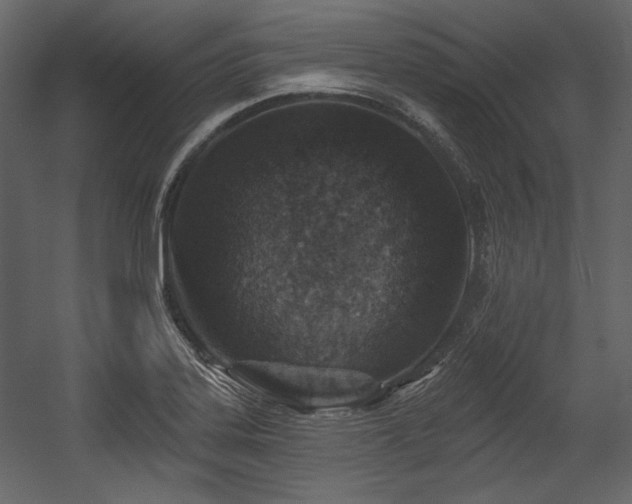 X0000054381323200508011243