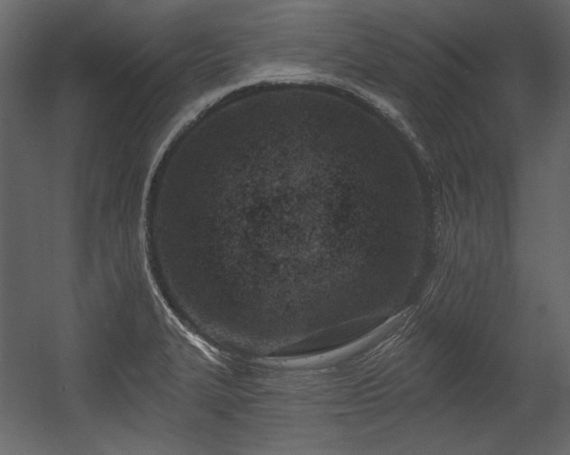X0000054381327200508011243