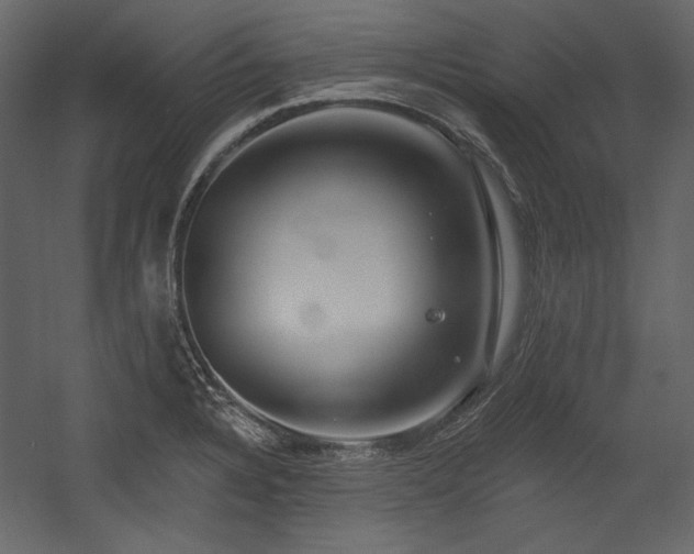 X0000054381328200508011243